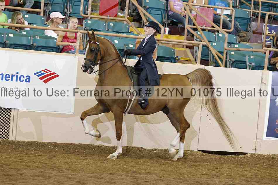 Proof 12yn_01075