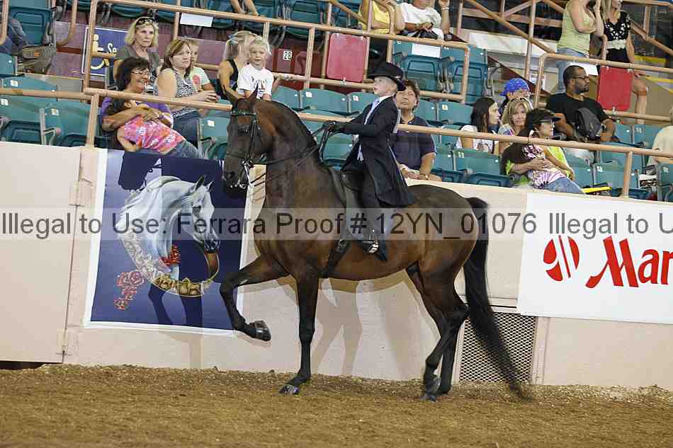 Proof 12yn_01076