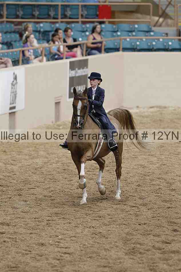 Proof 12yn_01077