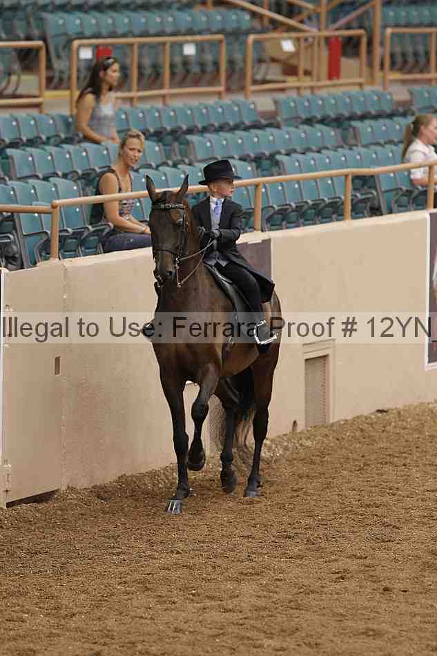 Proof 12yn_01078