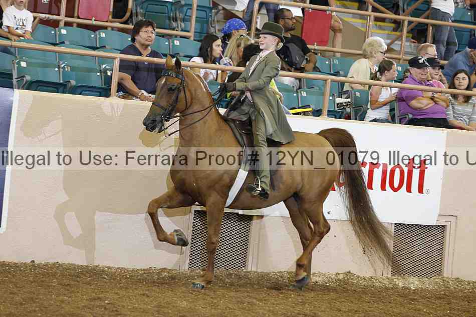 Proof 12yn_01079