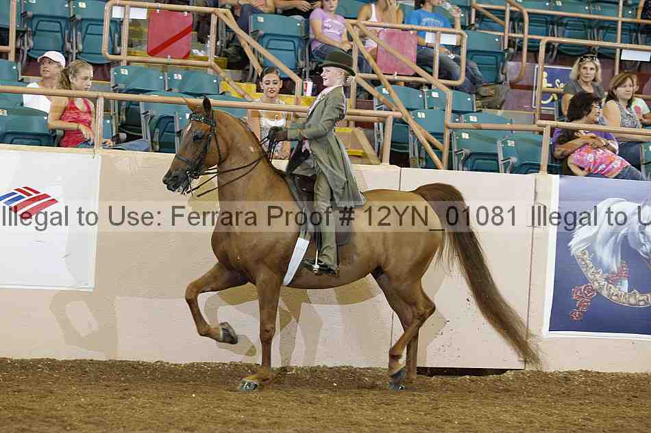 Proof 12yn_01081