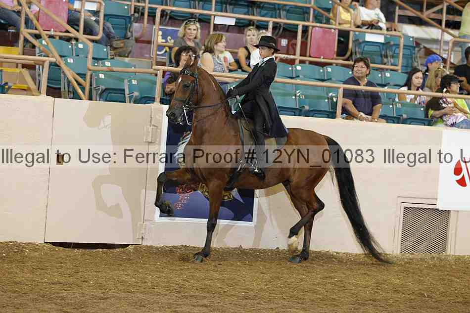 Proof 12yn_01083
