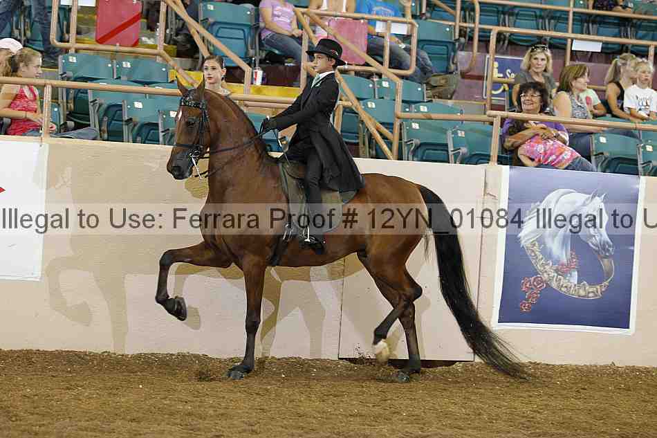 Proof 12yn_01084
