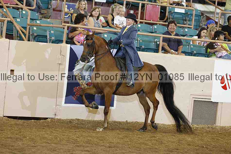 Proof 12yn_01085