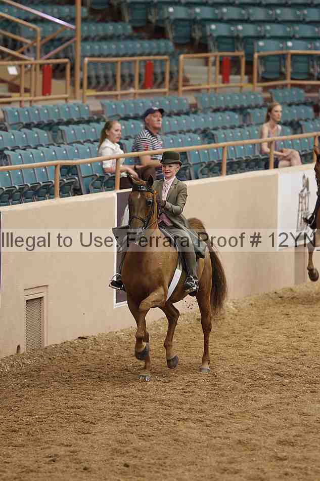 Proof 12yn_01086