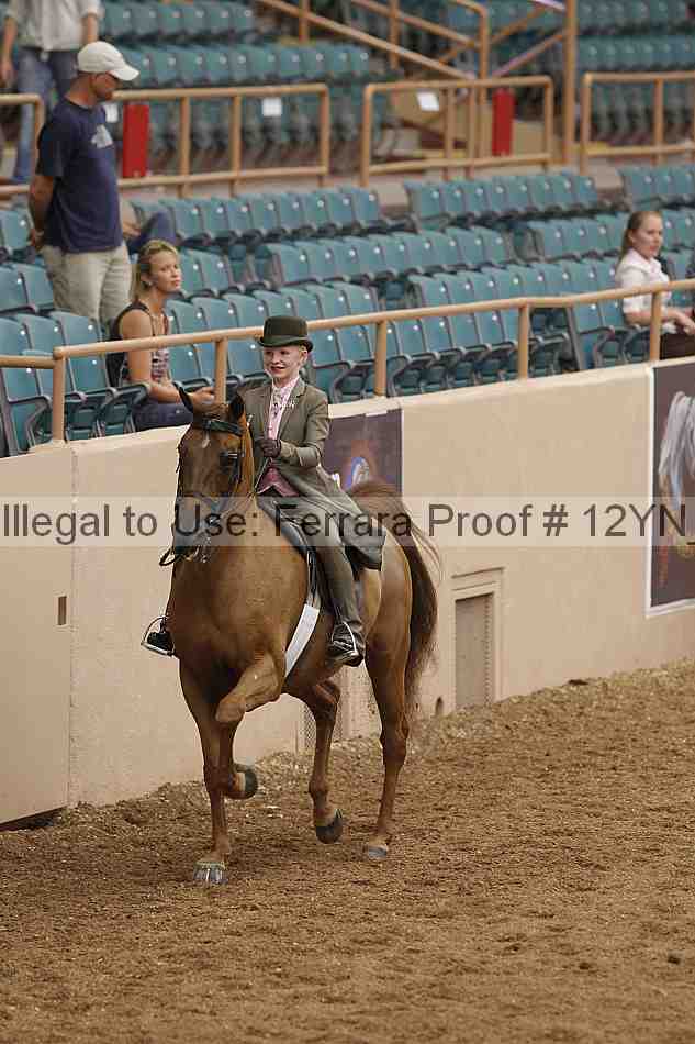 Proof 12yn_01087