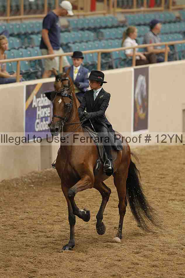 Proof 12yn_01088
