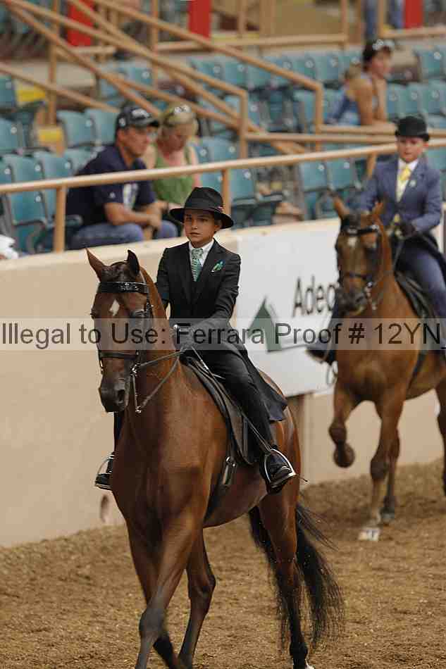 Proof 12yn_01089