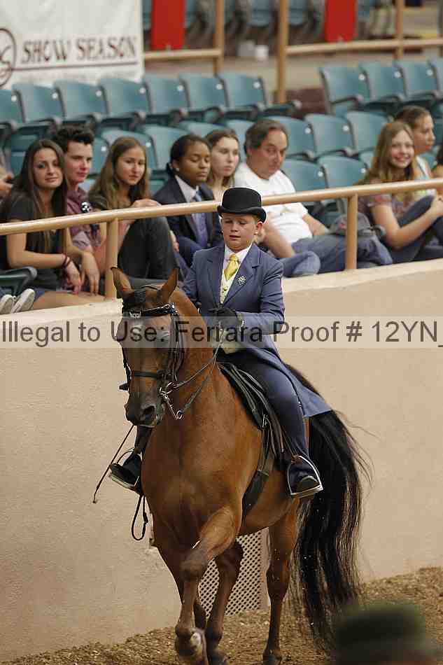 Proof 12yn_01090