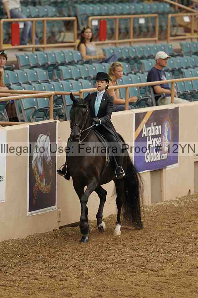 Proof 12yn_01091