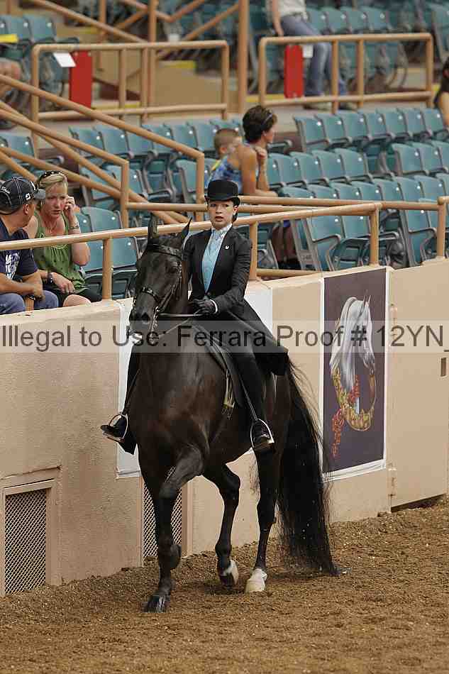 Proof 12yn_01092
