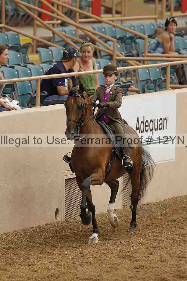 Proof 12yn_01093