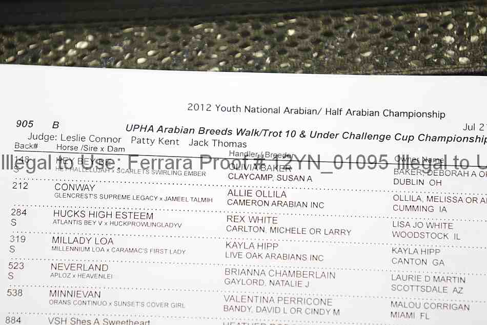 Proof 12yn_01095