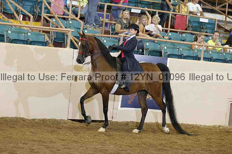 Proof 12yn_01096