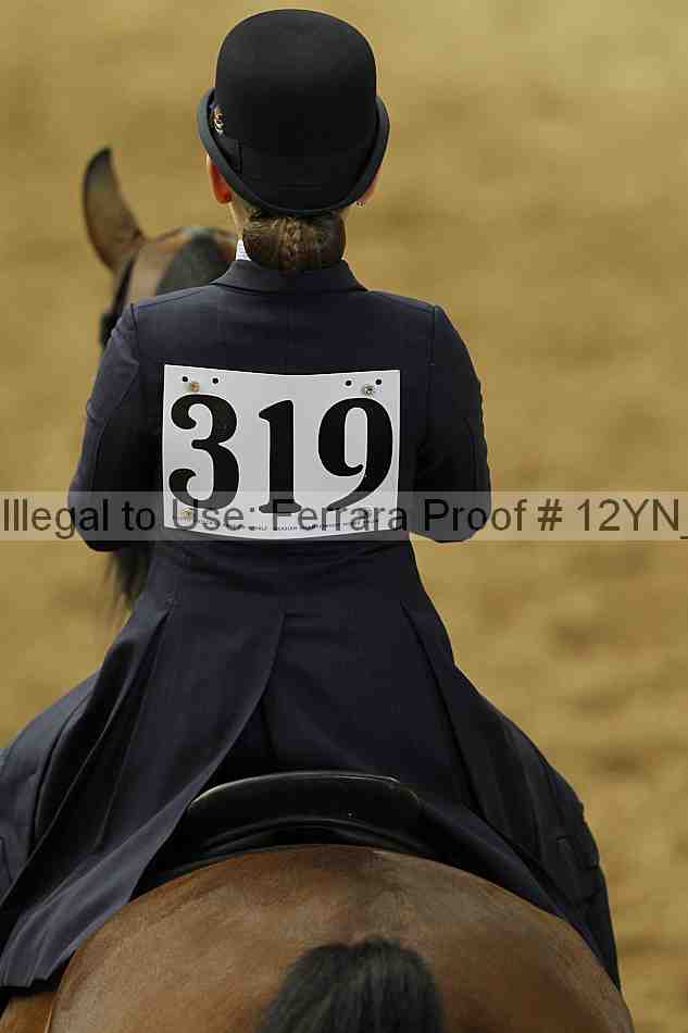 Proof 12yn_01097