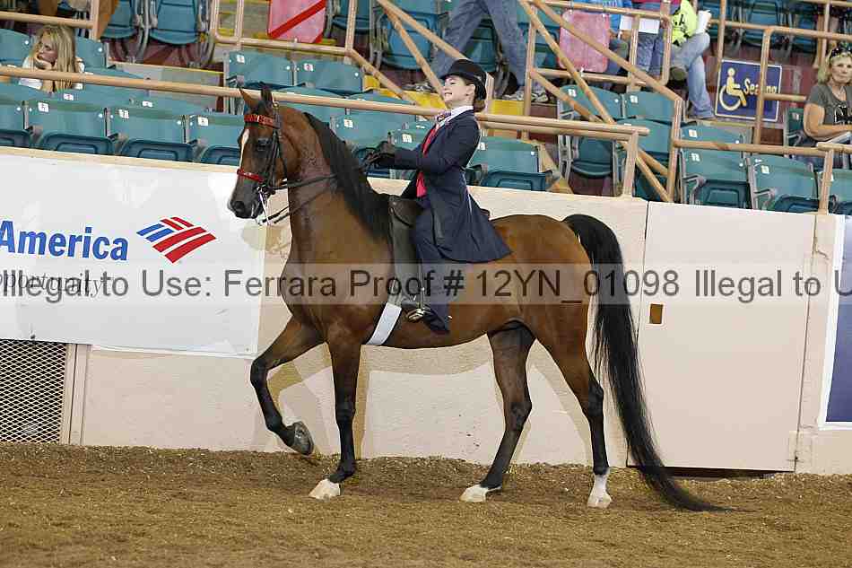 Proof 12yn_01098