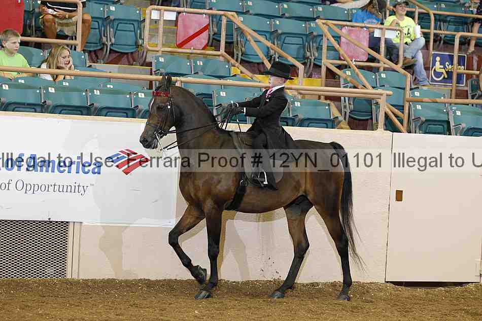 Proof 12yn_01101