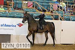 12yn_01101 proof