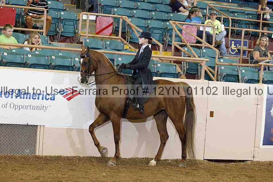 Proof 12yn_01102