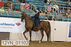 12yn_01102 proof