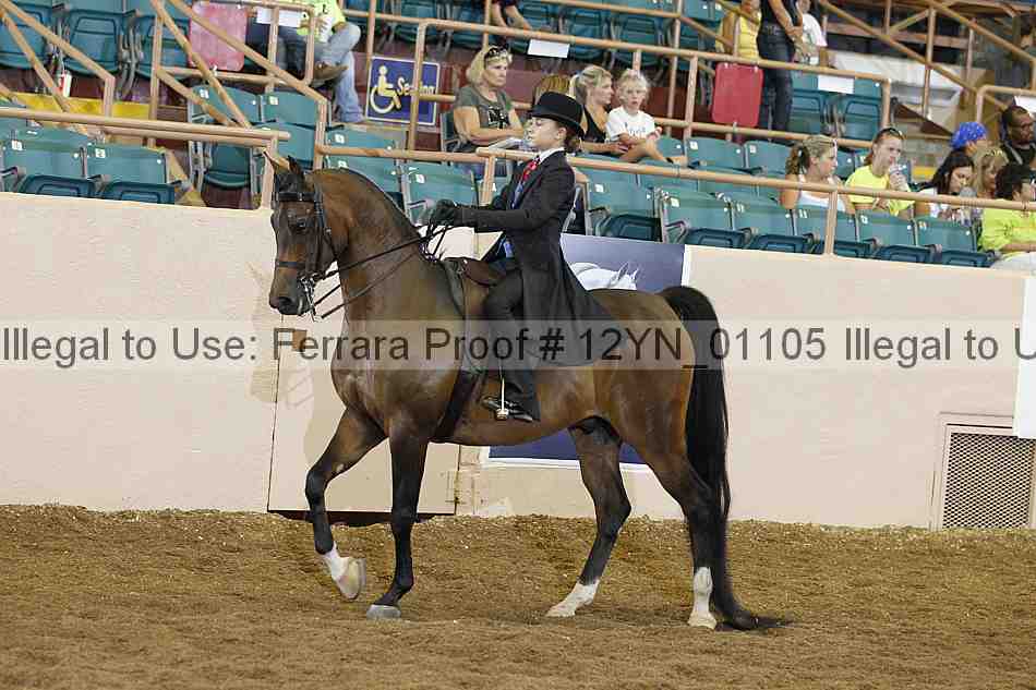 Proof 12yn_01105
