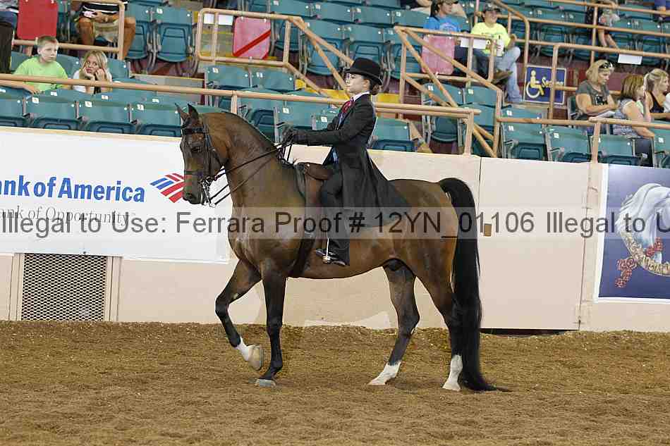 Proof 12yn_01106