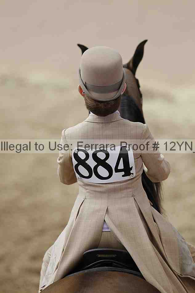 Proof 12yn_01107