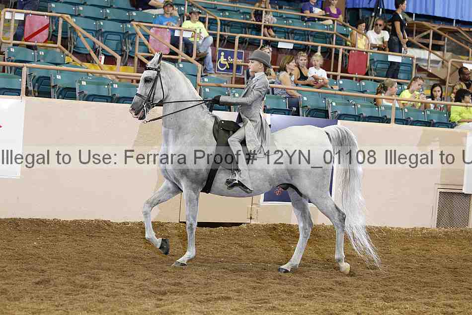 Proof 12yn_01108