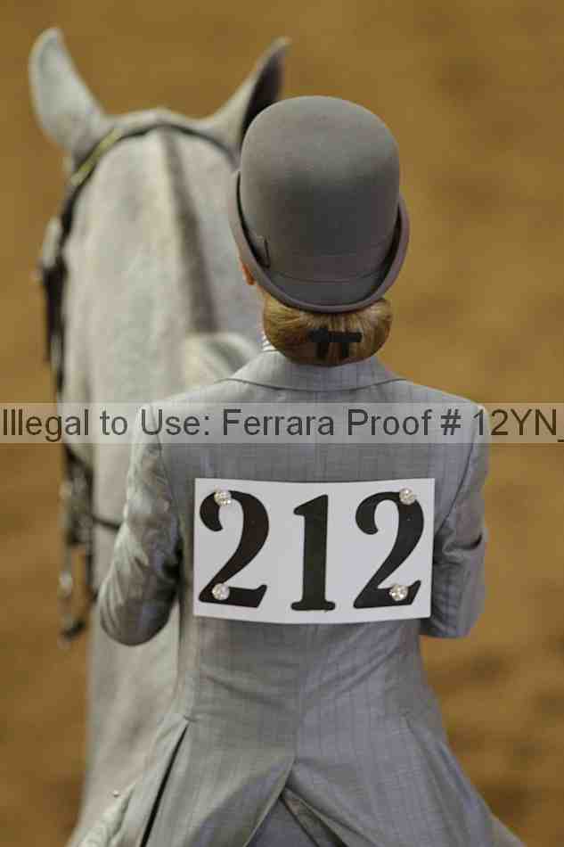 Proof 12yn_01109