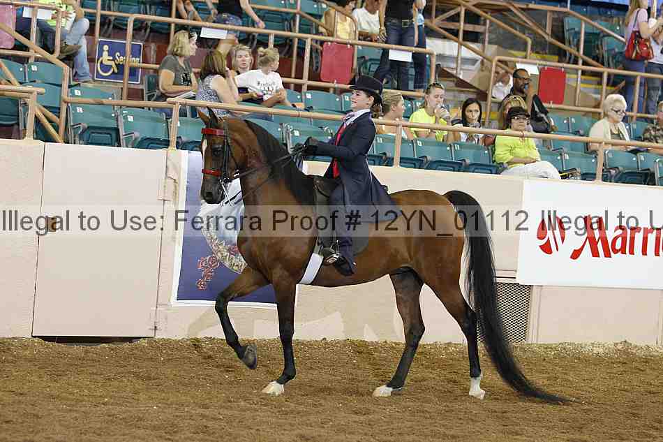 Proof 12yn_01112