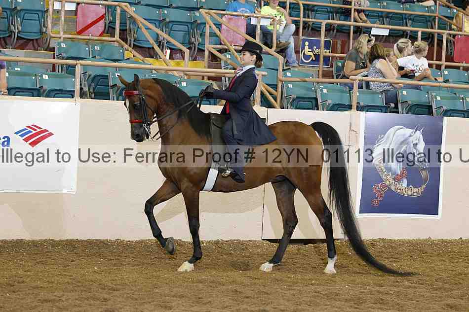Proof 12yn_01113