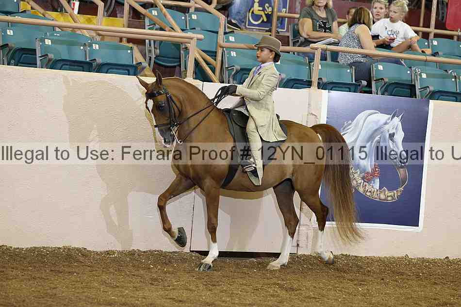 Proof 12yn_01115