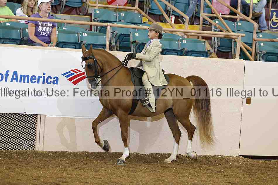 Proof 12yn_01116