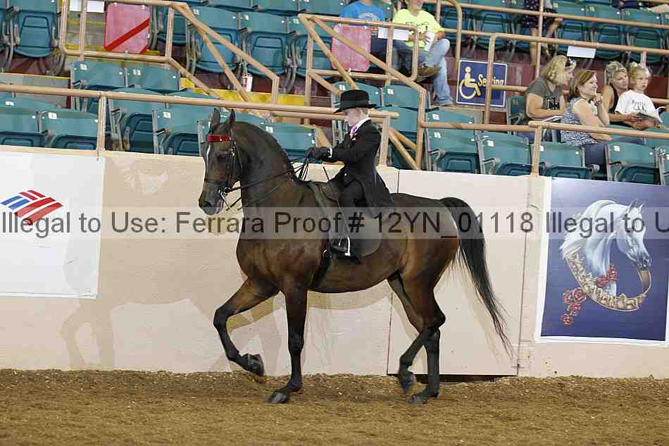 Proof 12yn_01118