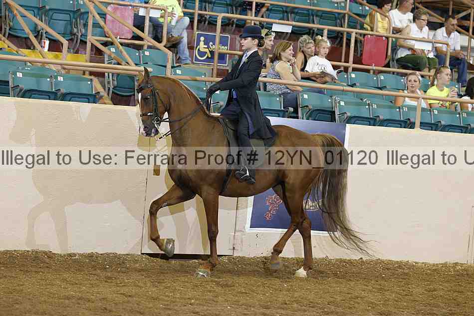 Proof 12yn_01120