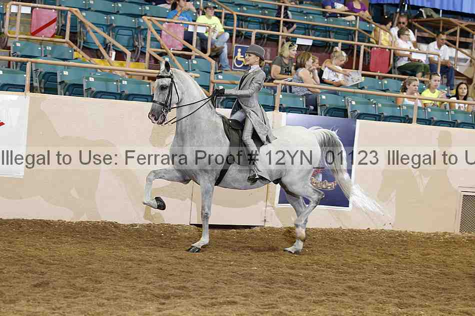 Proof 12yn_01123