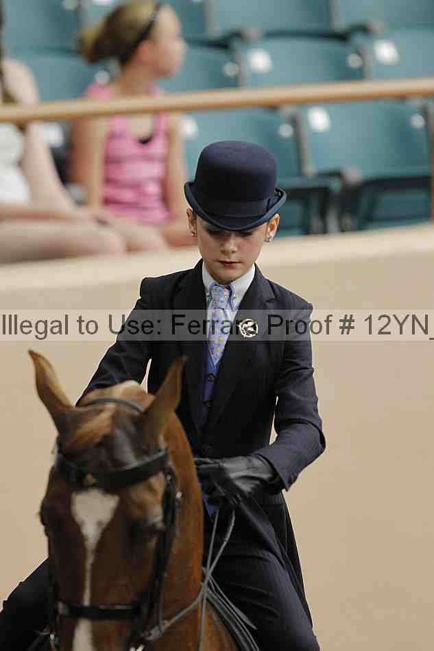 Proof 12yn_01126