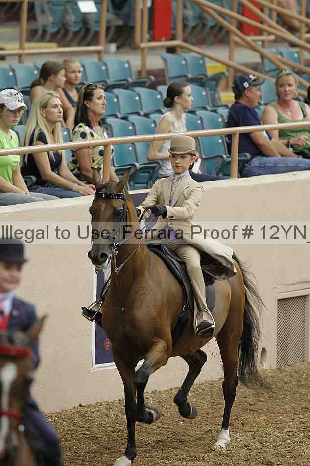 Proof 12yn_01131