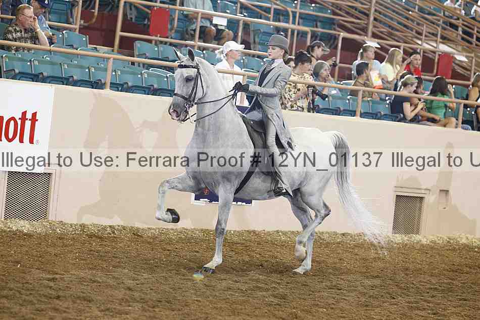 Proof 12yn_01137