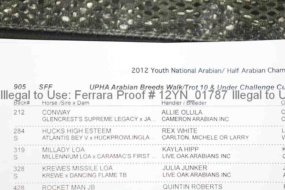 Proof 12yn_01787