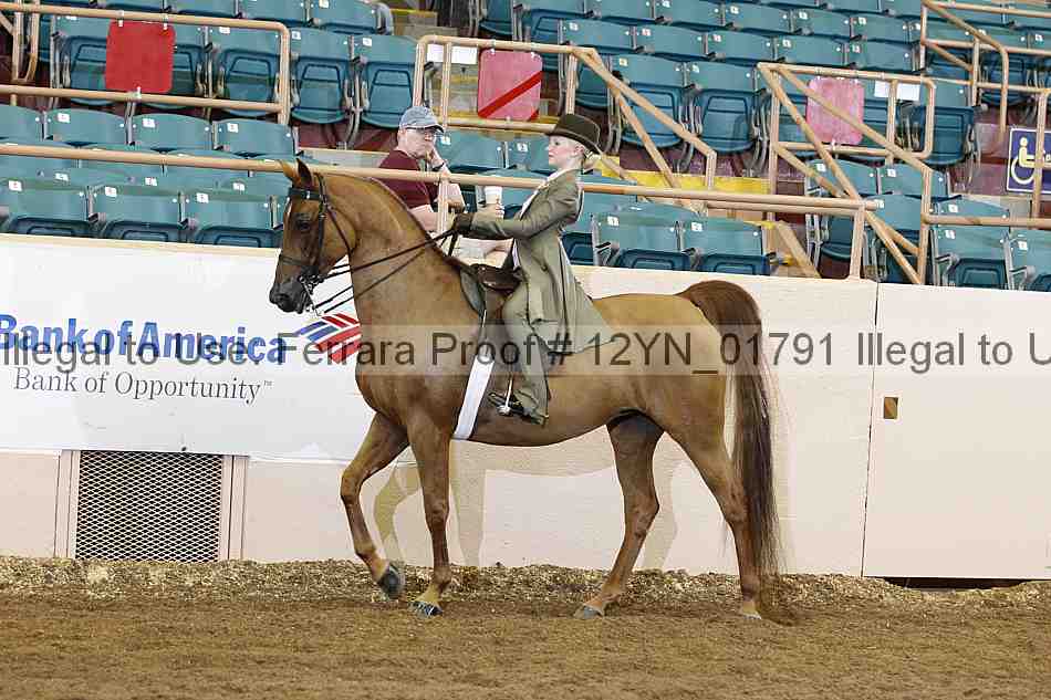 Proof 12yn_01791