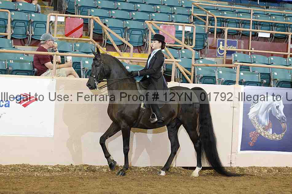 Proof 12yn_01792