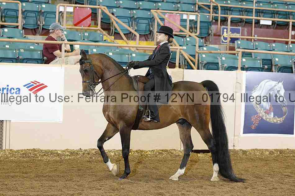 Proof 12yn_01794