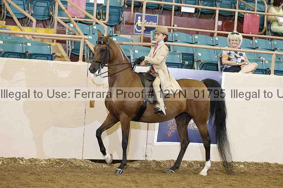Proof 12yn_01795