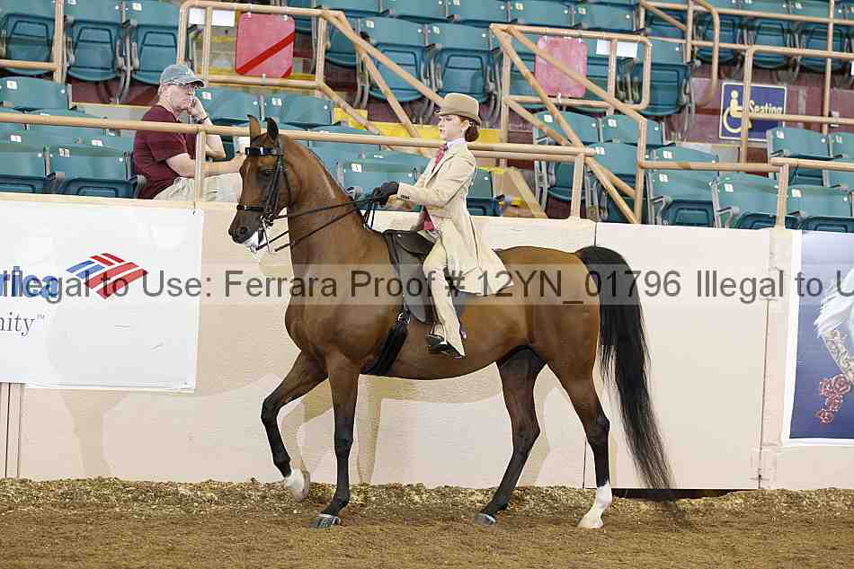 Proof 12yn_01796