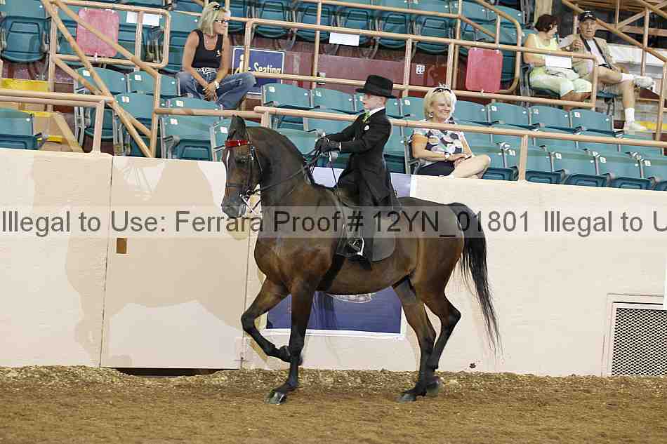 Proof 12yn_01801