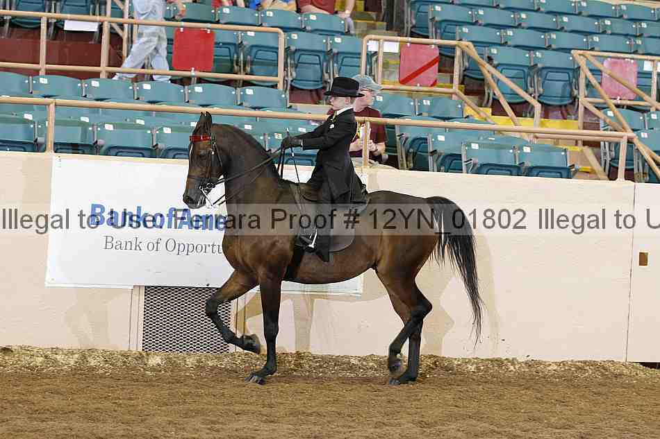 Proof 12yn_01802
