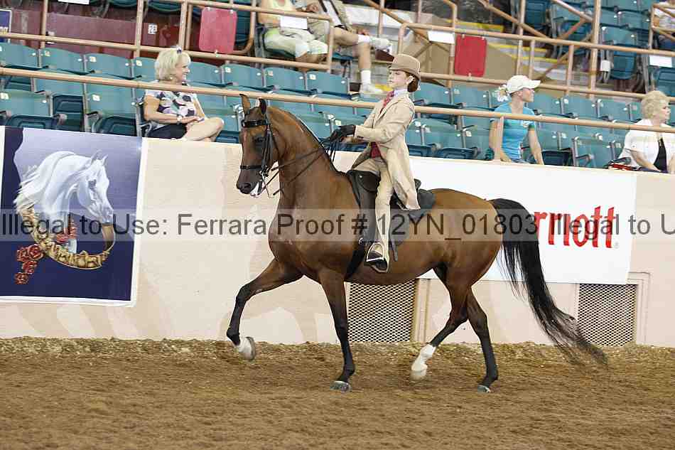 Proof 12yn_01803