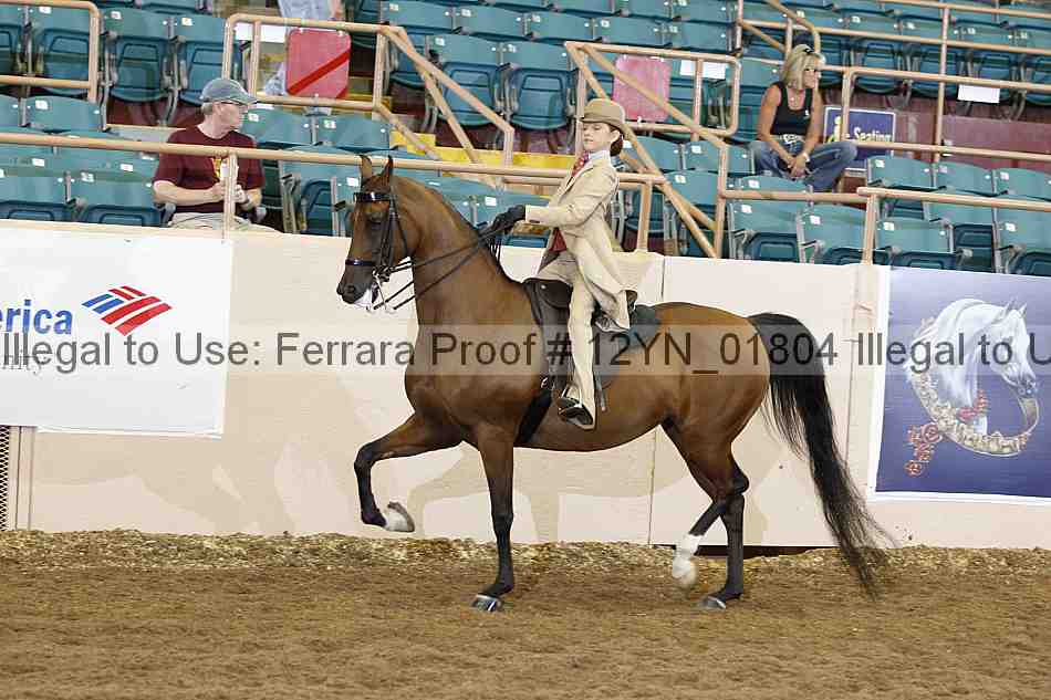 Proof 12yn_01804